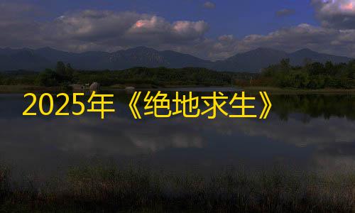 快速高防云服务2025年《绝地求生》加速器深度评测